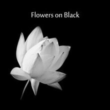 Flowers on Black